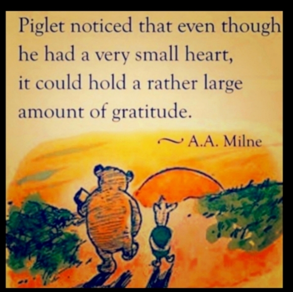 ACCESSORIES GALORE MYSTERY BUNDLE - Picture 9 of 16